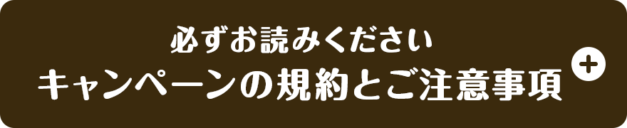 必ずお読みください キャンペーンの規約とご注意事項