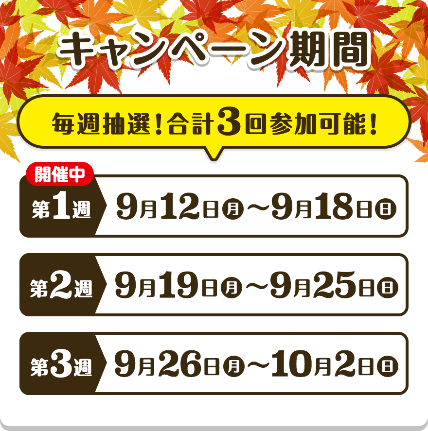 【キャンペーン期間】 毎週抽選！合計3回参加可能！【第1週】9月12日（月）〜9月18日（日）【第2週】9月19日（月）〜9月25日（日）【第3週】9月26日（月）〜10月2日（日）