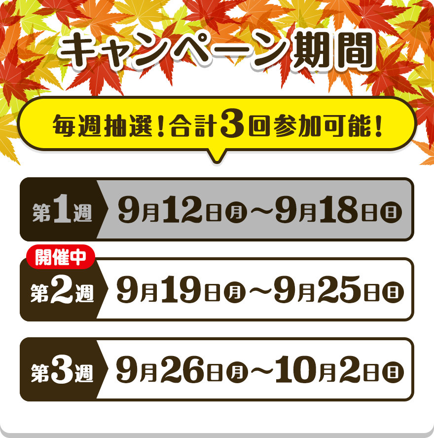 【キャンペーン期間】 毎週抽選！合計3回参加可能！【第1週】9月12日（月）〜9月18日（日）【第2週】9月19日（月）〜9月25日（日）【第3週】9月26日（月）〜10月2日（日）
