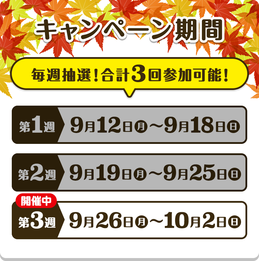 【キャンペーン期間】 毎週抽選！合計3回参加可能！【第1週】9月12日（月）〜9月18日（日）【第2週】9月19日（月）〜9月25日（日）【第3週】9月26日（月）〜10月2日（日）
