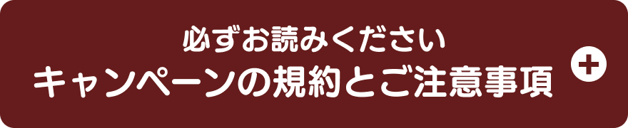 必ずお読みください キャンペーンの規約とご注意事項