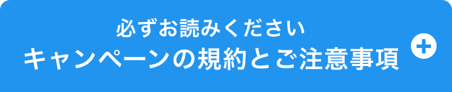 必ずお読みください キャンペーンの規約とご注意事項