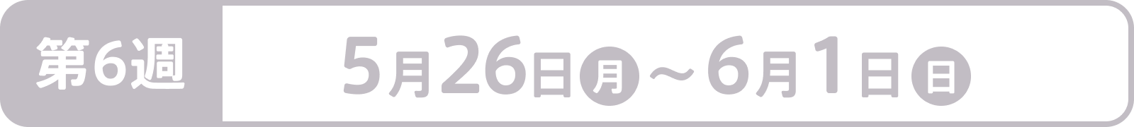 第6週：5月26日（月） ～ 6月1日（日）