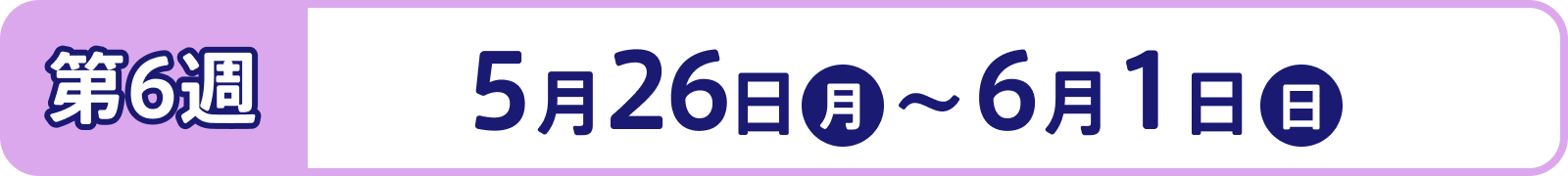 第6週：5月26日（月） ～ 6月1日（日）
