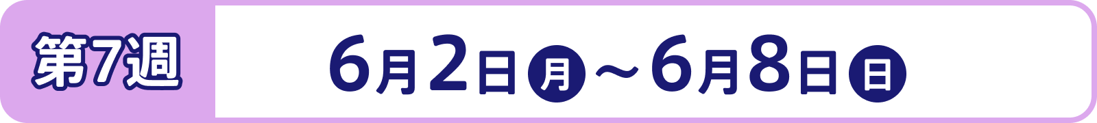第7週：6月2日（月）～6月8日（日）